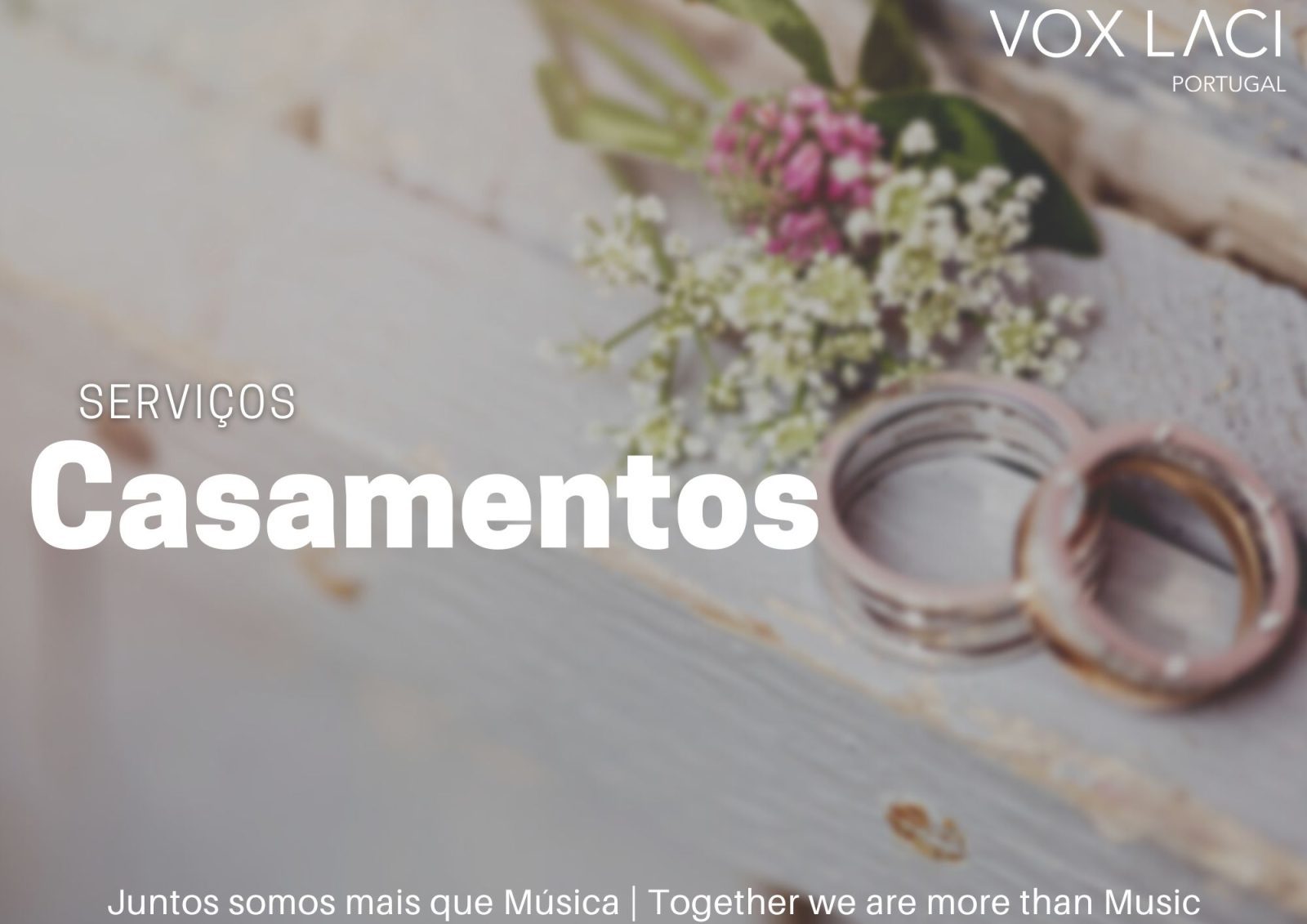 Serviços