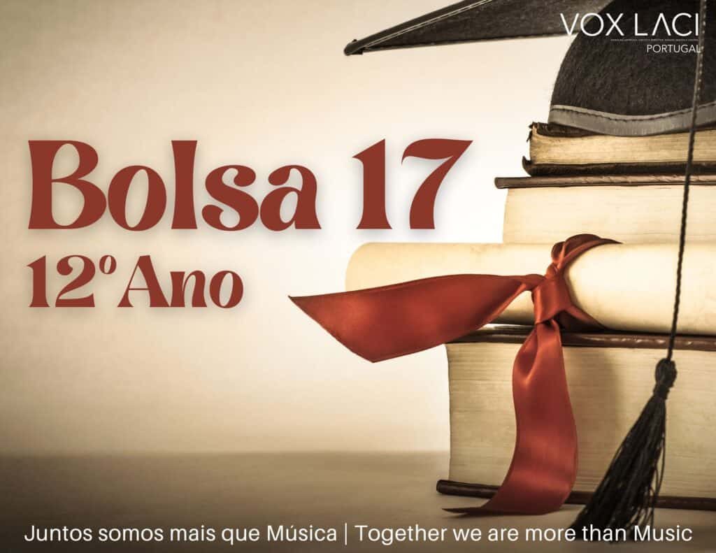 Bolsa 17